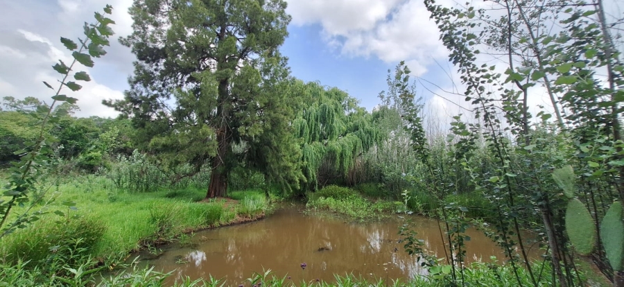 6 Bedroom Property for Sale in Rustenburg Rural North West